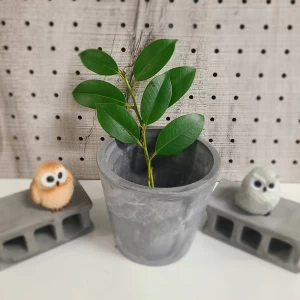 榊立て